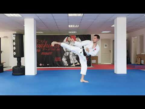 JKA Kihon Examination - 6th KYU - Green Belt
