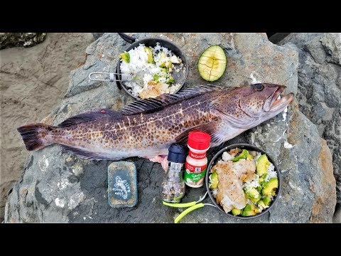 Catch and Cook!!! BOILING Rice - Fish, Avocado, and Butter!  SO EASY!!!!