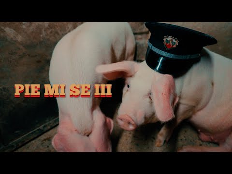 Marso x Bobkata x Tsvetina - Pie mi se III (Official Video)prod. by Todorov
