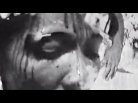 Al'Tarba x Senbeï - Dahomey