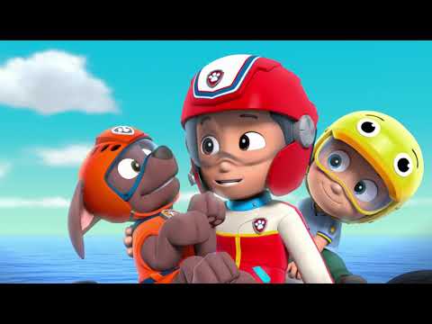 Ryder Catches Zuma - Paw Patrol