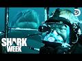 JAWS In Real Life Shark Week Discovery