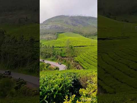 Senthil Tours 💕 contact me. 9539646230💜💚📞🏞