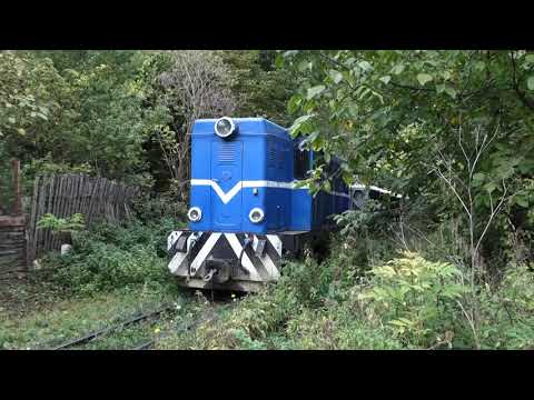 MOCĂNIŢA: FIENI - MOROENI - PIETROȘIȚA #romania #travel #nature