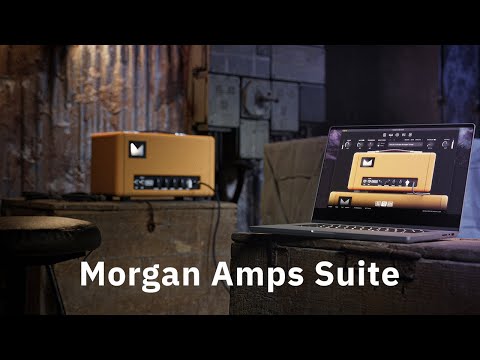 Free Download Morgan Amps Suite v1.1.1 U2B macOS-FLARE