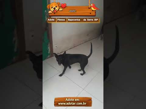 Vídeo de Jade