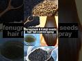 Fenugreek Kalonji Seeds Hair Growth Spray Hairgrowth Hairfall Shots Haircare Fenugreek