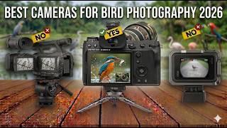 ✅Top 5 Best Cameras For Bird Photography in 2026 - Birding, 