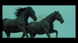 Black horses Now we are free Lisa Gerrard Video
