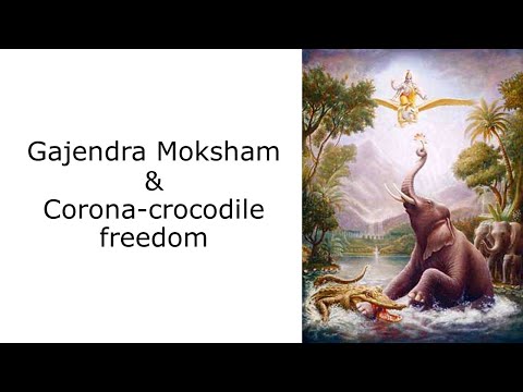 Gajendra Moksham | Corona-Crocodile freedom -  HG Radheshyam pr