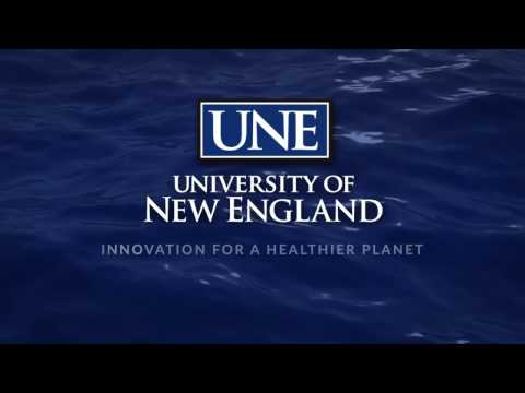 3-9-17 Paradigms in Chronic Pain Treatment