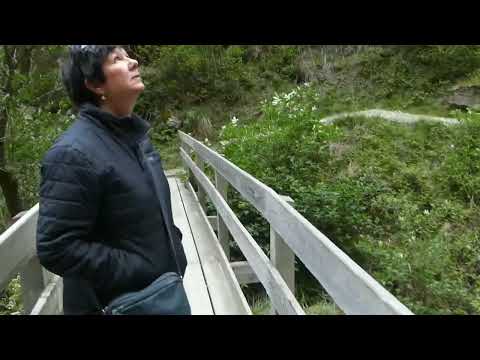 Embedded YouTube video