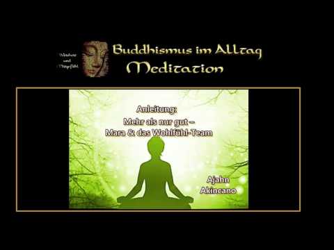 Anleitung: Mehr als nur gut – Māra & das Wohlfühl-Team - Ajahn Akincano