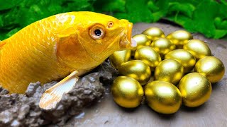 Funny Fish Videos❤️Rainbow Carp❤️Colorful surprise eggs, lobster, snake, cichlid, betta fish, turtle