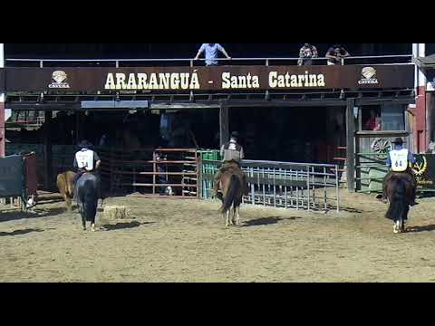 Classificatória de Araranguá - 3º e 6º lugares machos (Campo II)