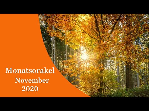 Monatsorakel November 2020