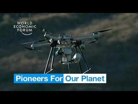 These seed-firing drones plant thousands of trees each day | Pioneers for Our Planet