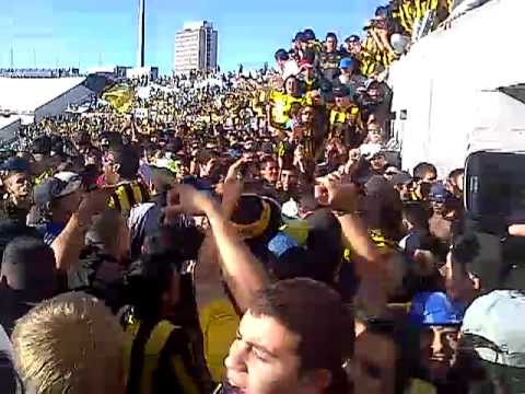 "Fiesta y descontrol en tribuna amsterdam! pre clásico Peñarol vs Nacional 2013" Barra: Barra Amsterdam • Club: Peñarol • País: Uruguay