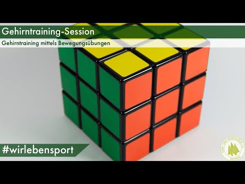 Gehirntraining-Session -Folge #1-