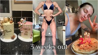 Prep Vlog 3 Weeks Out | Decorating two cakes, S'mores cookie pie & Lemon blondies | Birthday Week
