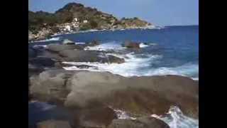 preview picture of video 'Cotoncello presso Capo Sant'Andrea Isola d'Elba Agosto 2013'