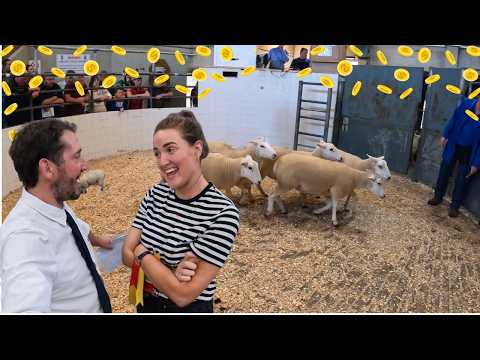 Sheep Showdown: Selling, Winning & A Happy Wife!