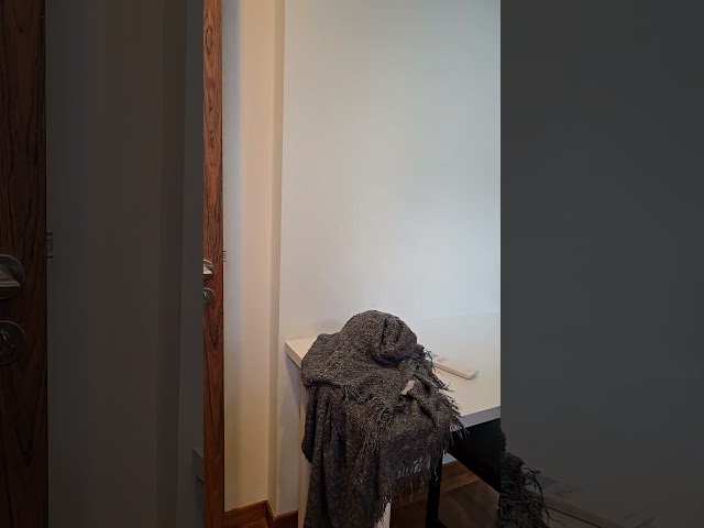 Studio Condo for Rent in  Whitehaven - Image 17