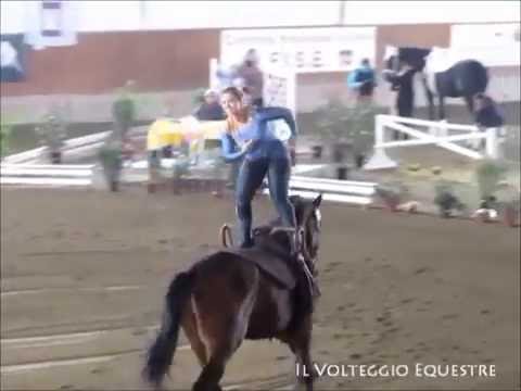 CVI Portogruaro 2016 - Volteggio - Ind 2* s F - 7° Celine Michel