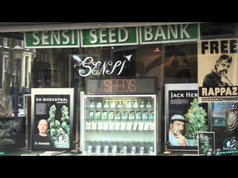 Massey & Kubix - Pierdole system