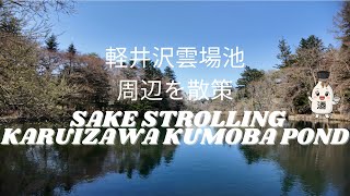 Exploring Karuizawa🚶‍♂️| Walking Charming Town of Karuizawa and Kumoba Pond | Spring 2025 Japan 🌸