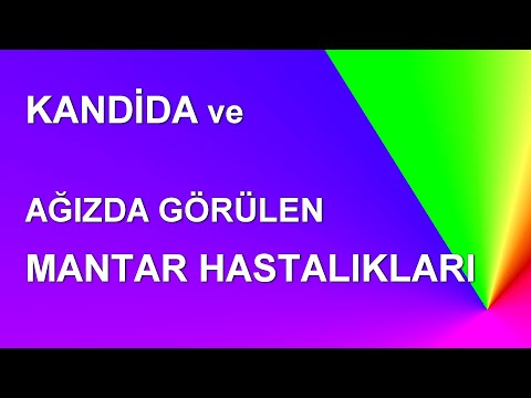 Kayseri diş hekimi öğrenci meslektaşlarıma mikoloji dersi