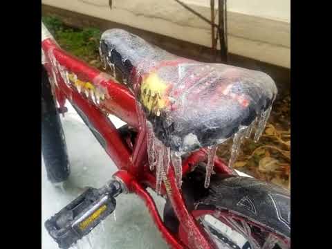 Ice Snowstorm on Feb 2nd, 2023 in my backyard 😊