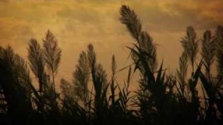 Pájaros de barro (instrumental)