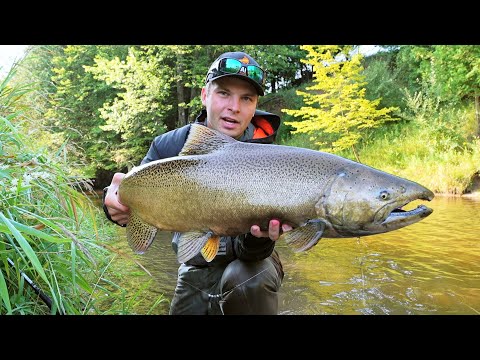 BITEY KING SALMON Float Fishing (Bobber Downs)