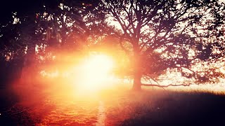 Feist &amp; Kōhachiro Miyata - Caught a Long Wind &amp; Honshirabe