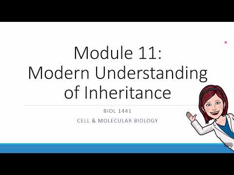 Module 11 - Nondisjunction & Chromosomal Abnormalities