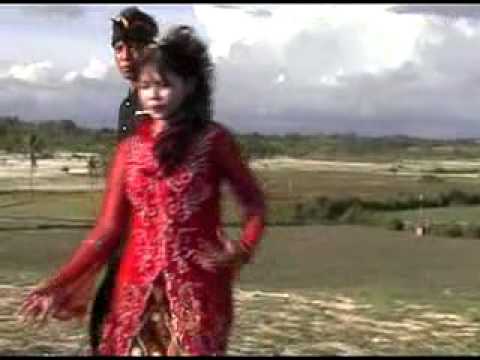 ANAK AYAM versi sasak lombok