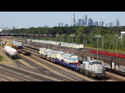 Circus Roncalli und Rail Bavaria Logistik Bahnverladung Frankfurt (Main) Ost Gbf