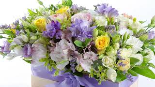 Download lagu エルガー「愛の挨拶」　　Elgar：　Salut d'amour mp3