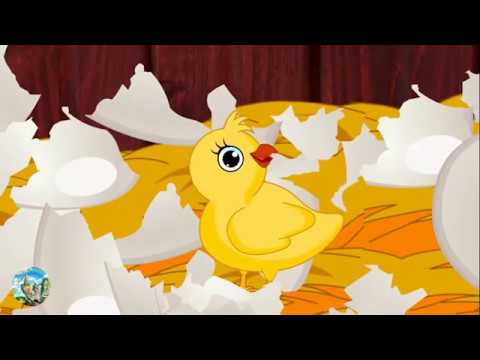 IL PULCINO CHE CERCAVA LA SUA MAMMA (Favola della buonanotte)