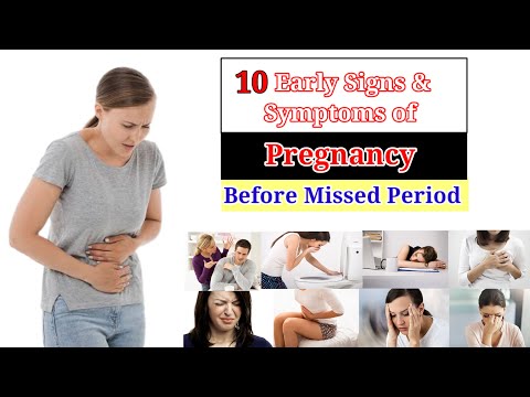 Pregnancy Week By Week 1 41 Weeks Fetal Developments