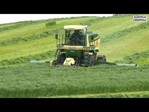 Krone Big M 450 im Grünroggen unterwegs - Lohnunternehmen Bücherl - Grünroggen mähen