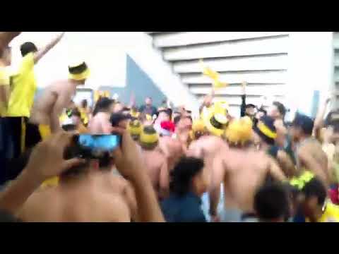 "Yo soy aurinegro vago y maliante" Barra: Mega Barra &bull; Club: Real España