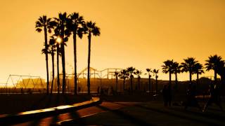 TEAM SLEEP - "Passportal"