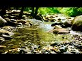 Gentle Trickling Water 3 Hours No Music