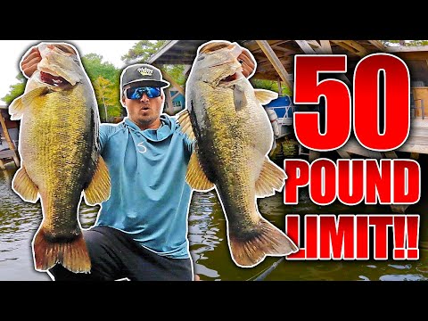 BEST DAY EVER SWIMBAIT FISHING ON YOUTUBE!! (15 Bass OVER 7 Pounds)