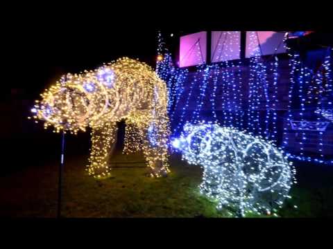 Market Drayton couple's spectacular Christmas lights