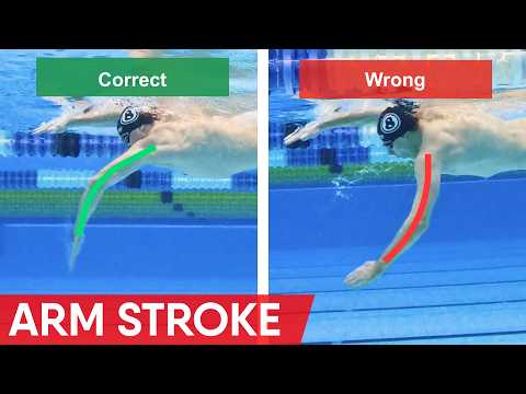 How to swim freestyle without getting TIRED