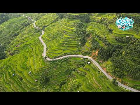 Live: Guizhou's dreamlike cascades: The cloud-veiled terraces of Jiabang