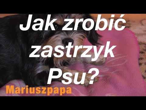 Photo dziewczyna kulturystyka Jak budować mięśnie w filmie poziomych prętów